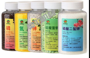 北京雷邦斯生物科技有限公司_http://www.readbangkokpost.com_工程案例_第3張