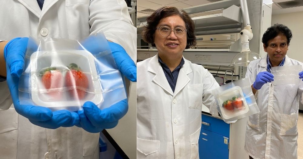 可生物降解的柔性食品包裝_http://www.readbangkokpost.com_新聞資訊_第1張