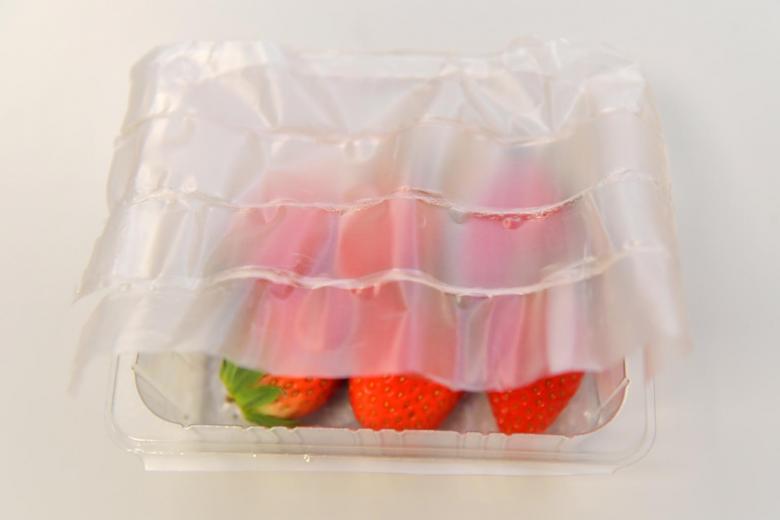 可生物降解的柔性食品包裝_http://www.readbangkokpost.com_新聞資訊_第2張